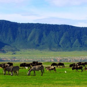 3-Day Perfect Wildlife and Culture Safari