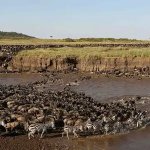 7-Day Wildebeest Migration Mara River Crossing